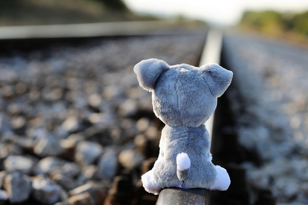 Ilustrasi. (Foto: pixabay.com)