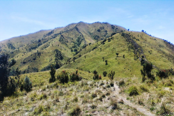  Sabana 1 Gunung Merbabu. (Foto: catatanperjalanan-outdoor.blogspot.com)