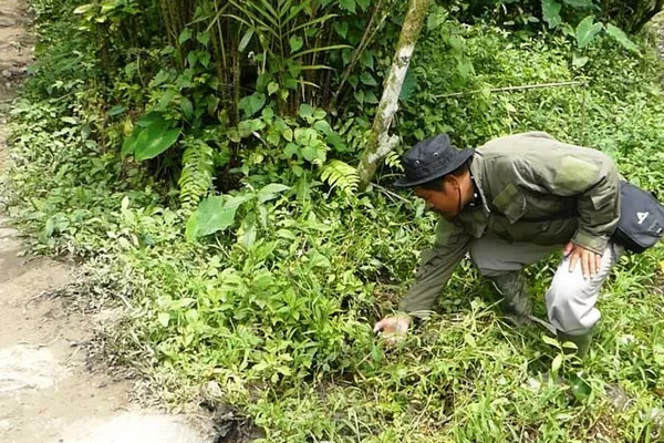 Seorang warga coba menyalakan api dengan pemantik di rekahan tanah di Banjarnegara, Jateng. (Foto: ist)