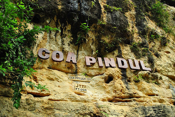 Goa Pindul, salah satu objek wisata di Gunungkidul, DIY. (Foto: Pemkab Gunungkidul)