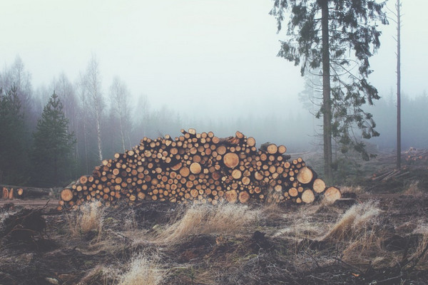 Ilustrasi. (Foto: pixabay.com)