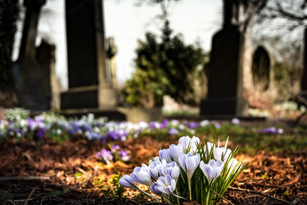 Ilustrasi. (Foto: pixabay.com)