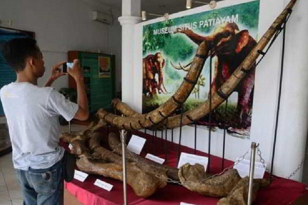 Museum Situs Patiayam di Kabupaten Kudus, Jateng. (Foto: Pemprov Jateng)