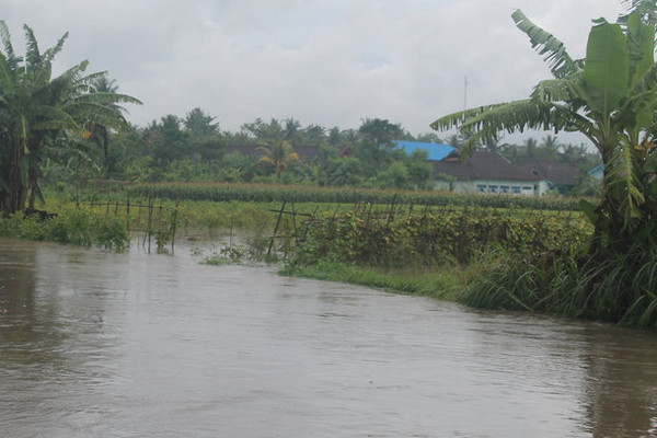 Ilustrasi sawah terendam banjir. (Foto: Pemkab Bantul)