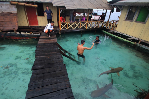 Wisatawan bermain air di kolam penangkaran 'Hiu Kencana', Pulau Menjangan Besar, Kepulauan Karimunjawa, Kabupaten Jepara, Jawa Tengah (Jateng). (Foto: udaindra.blogspot.com)