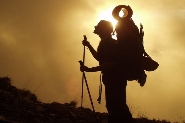 Ilustrasi (Pixabay).