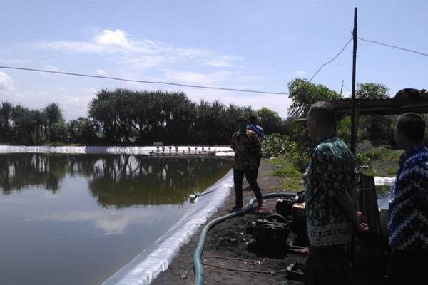 DKP Kulon Progo saat meninjau tambak udang di selatan NYIA, Kabupaten Kulon Progo, DIY. (Foto: Pemkab Kulon Progo)