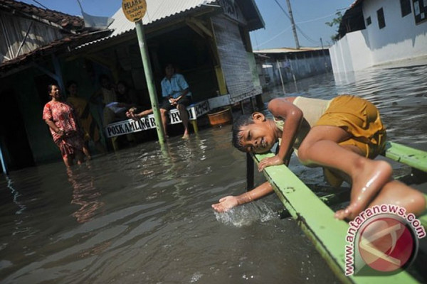 Seorang anak bermain air saat banjir di Kelurahan Tirto, Pekalongan, Jateng. (Foto: Antara Foto/Pradita Utama)