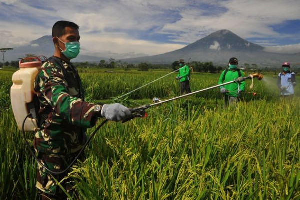 Petani bersama anggota Babinsa dan PPL menyemprot tanaman padi saat Gerakan Pengendalian Hama di persawahan Desa Mento, Kecamatan Candiroto, Kabupaten Temanggung, Jateng, 28 Maret 2018. (Foto: Antara Foto/Anis Efizudin)