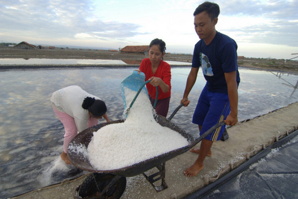 Petani memanen garam di lahan garam Desa Bunder, Kabupaten Pamekasan, Jatim, 28 Juni 2018. (Foto: Antara Foto/Saiful Bahri) 
