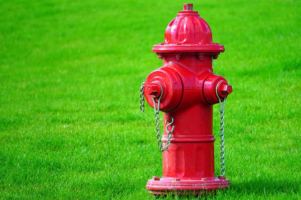 Ilustrasi. (Foto: Pixabay)