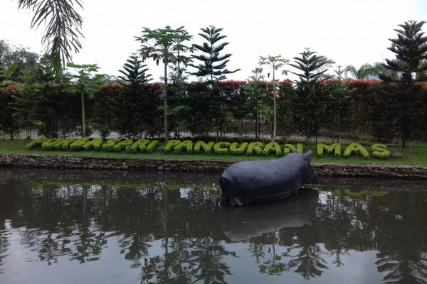 TWP Purbasari Pancuran Mas di Kabupaten Purbalingga, Jateng. (Foto: Google Maps/Satria Biru)