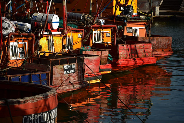 Ilustrasi. (Foto: Pixabay)