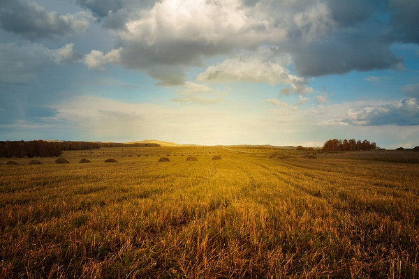 Ilustrasi. (Foto: Pixabay)