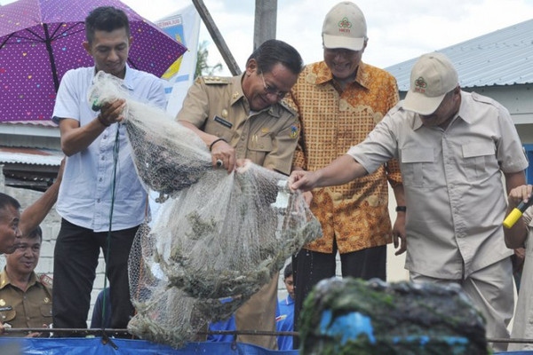 Gubernur Sulteng, Longki Djanggola (kedua kiri), memanen perdana udang vaname yang dibudidayakan menggunakan kolam skala kecil di Kota Palu, Sulteng, 15 Mei 2018. (Foto: Antara Foto/Mohamad Hamzah)