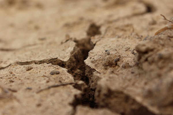 Ilustrasi. (Foto: Pixabay)