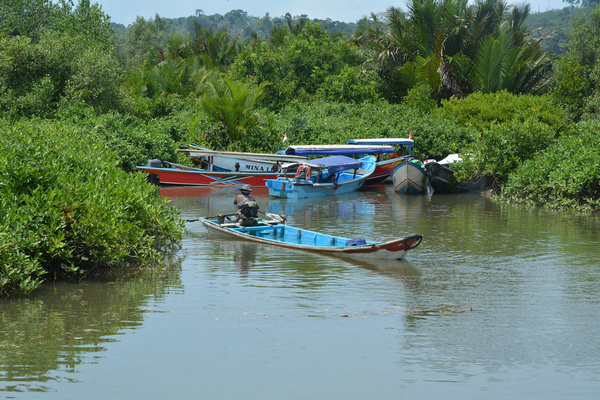 Salah satu terminal perahu penduduk di Desa Ujung Alang, Kecamatan Kampung Laut, Kabupaten Cilacap, Jateng. (Foto: Mongabay/L. Darmawan)