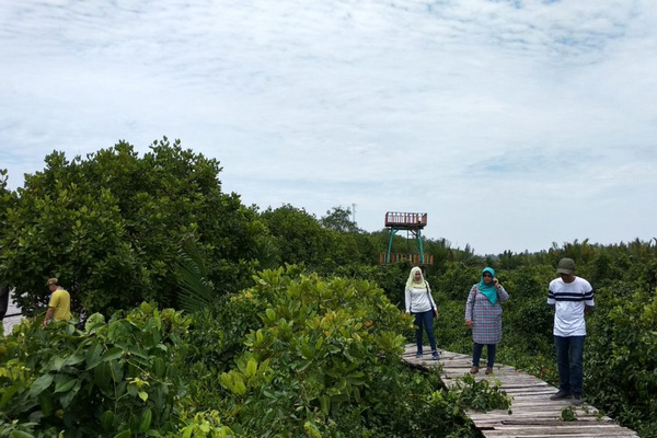 Pulau Momongan di Kabupaten Cilacap, Jateng. (Foto: Pemkab Cilacap)