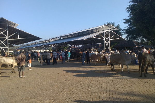 Pasar Hewan Siyonoharjo di Kabupaten Gunungkidul, DIY. (Foto: Google Maps/Ruby Rubiyanto)