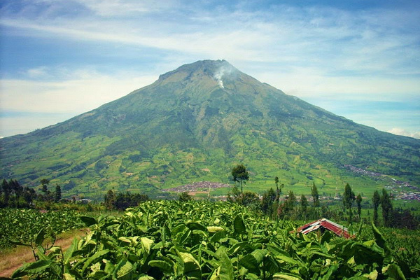 Gunung Sumbing di Jateng. (Foto: Pemkab Temanggung)