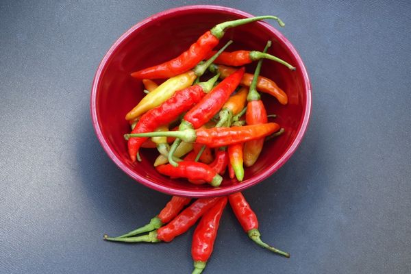 Cabai merah (Pixabay).