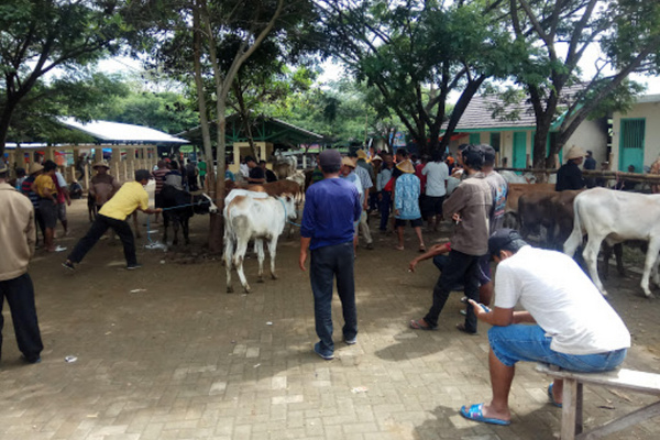 Pasar Hewan Semanu di Kabupaten Gunungkidul, DIY. (Foto: Google Maps/Fauzan Wanuri)