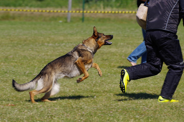 Ilustrasi. (Foto: Pixabay)