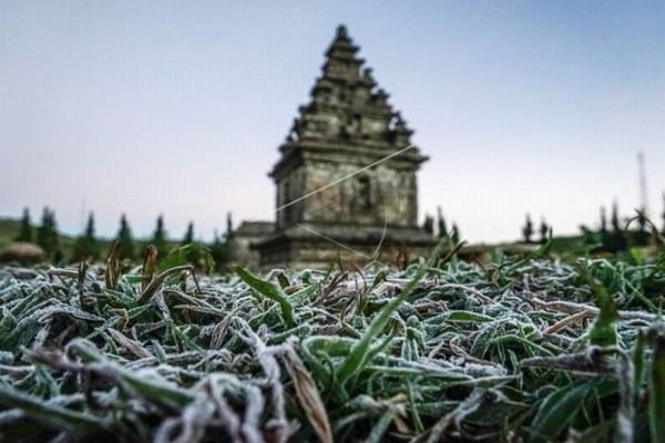 Embun beku yang muncul akibat penurunan suhu hingga minus tujuh derajat celcius menyelimuti kompleks Candi Arjuna di Dataran Tinggi Dieng, Kabupaten Banjarnegara, Jateng, Selasa (25/6). (Foto: Antara Foto/Idhad Zakaria)