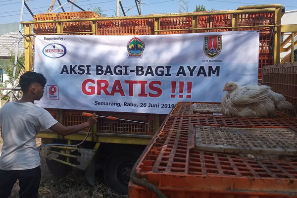 Petugas menyemprotkan disinfektan ke mobil pengangkuta ayam di DPP Kota Semarang, Jateng, Rabu (26/6), sebelum dibagi-bagikan ke masyarakat. (Foto: Liputan6.com/Gholib)