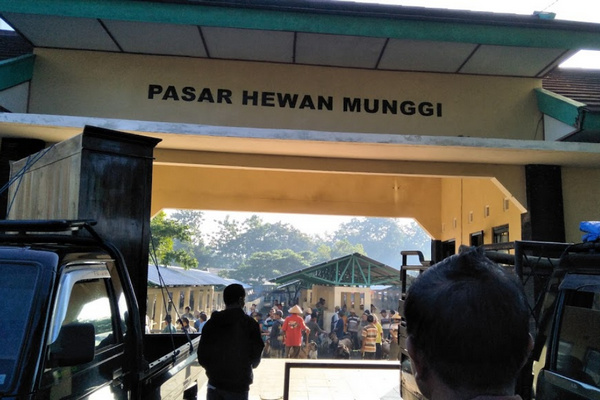 Pasar Hewan Munggu di Kabupaten Gunungkidul, DIY. (Foto: Google Maps/Suraban)