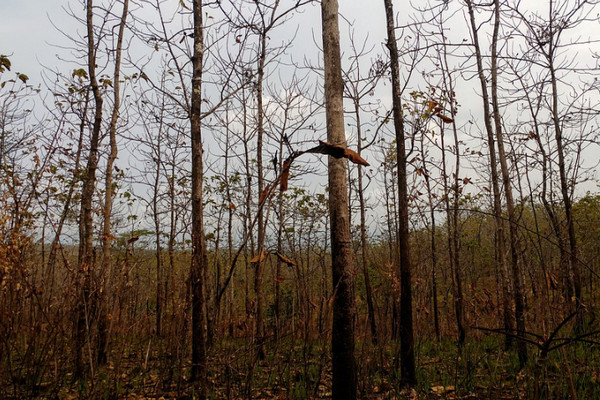 Ilustrasi. (Foto: Pixabay)