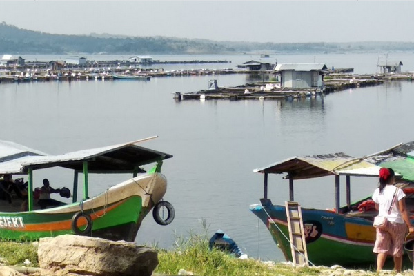Budi daya ikan menggunakan keramba di Waduk Kedungombo di Desa Wonoharjo, Kecamatan Kemusu, Kabupaten Boyolali, Jateng. (Foto: Google Maps/Margono Topan)