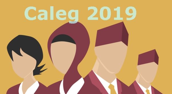 Ilustrasi caleg terpilih/Foto: Istimewa.