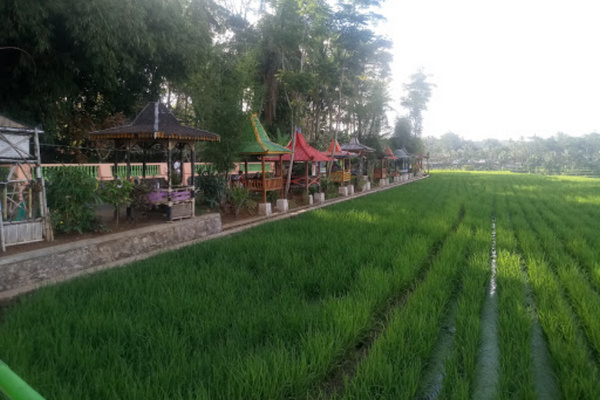 Desa wisata Kemetul di Kecamatan Susukan, Kabupaten Semarang, Jateng. (Foto: Google Maps/itmamudin Channel)