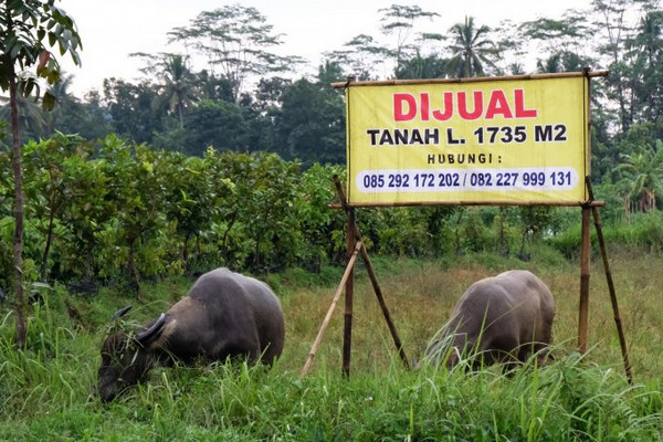 Alih fungsi lahan. (Foto: Antara Foto/Anis Efizudin)