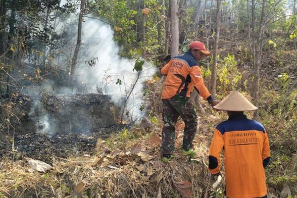Petugas berupaya memadamkan api di lokasi karhutla di Kecamatan Selogiri, Kabupaten Wonogiri, Minggu (11/8). (Foto: BPBD Wonogiri)
