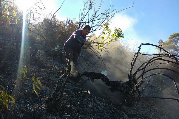 Petugas meninjau lokasi bekas kebakaran di lereng Gunung Sumbing, Jateng, Senin (12/8). (Foto: BNPB)