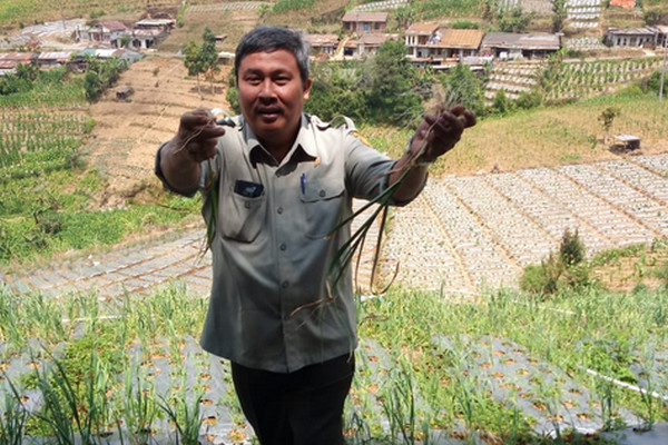 Dirjen Hortikultura Kementan, Prihasto Setyanto. (Foto: Kementan)