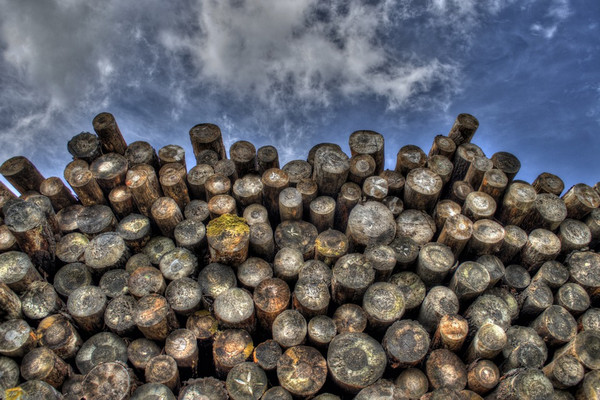 Ilustrasi. (Foto: Pixabay)