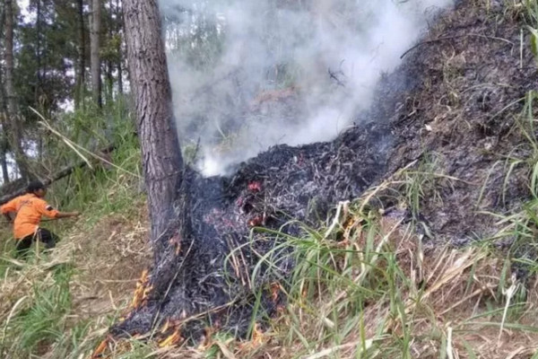 Petugas BPBD Kabupaten Magelang tengah memadamkan kebakaran hutan di lereng Gunung Andong. (Foto: Dokumentasi BPBD Kabupaten Magelang).