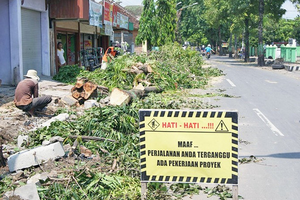 Pohon mahoni di Jalan Diponegoro, Kecamatan Cepu, Kabupaten Blora, Jateng, ditebang karena proyek perbaikan pedestrian. (Foto: Radar Blora/Mahfudz Muntaha)