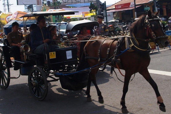 Andong wisata di kawasan Malioboro, Kota Yogyakarta, DIY. (Foto: sacafirmansyah.wordpress.com)