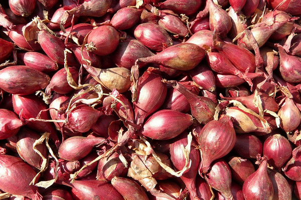 Ilustrasi. (Foto: Pixabay)