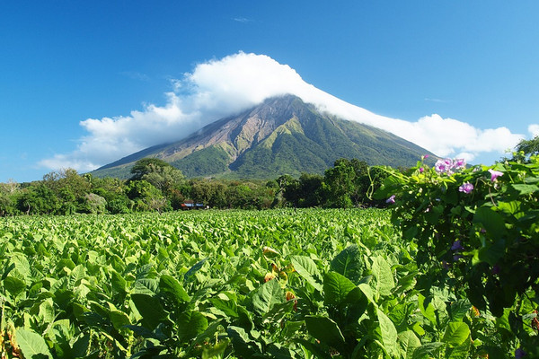 Ilustrasi. (Foto: Pixabay)