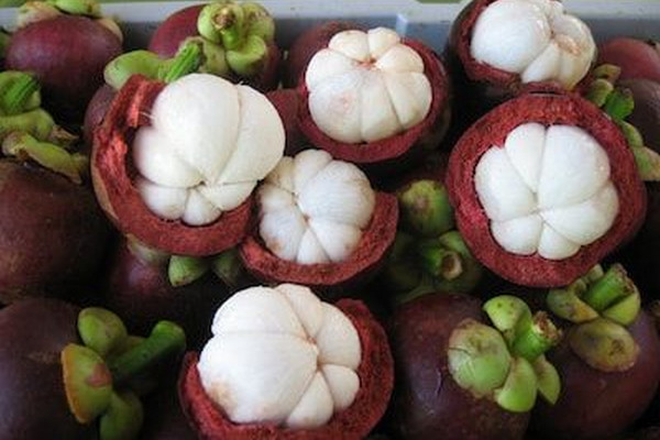 Buah manggis. (Foto: Ist)