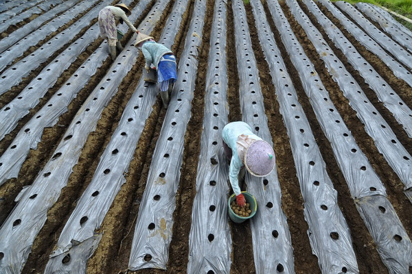 Ilustrasi. (Foto: Pixabay)