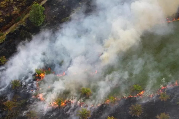 Tim gabungan berupaya memadamkan api yang membakar semak belukar di Kota Pekanbaru, Riau, Kamis (12/9). (Foto: Antara Foto/Rony Muharrman)