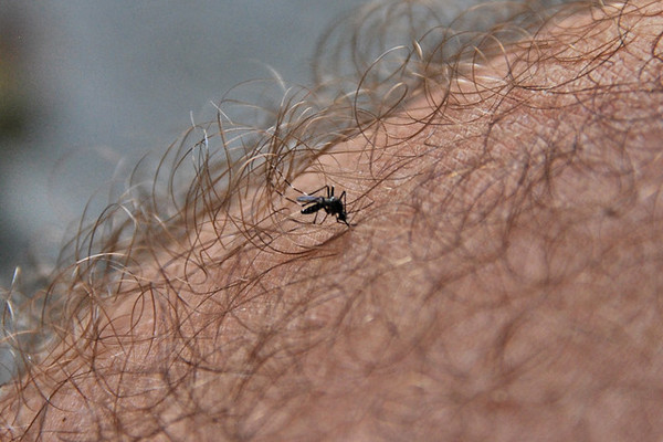 Ilustrasi. (Foto: Flickr/Felipe Zatta)