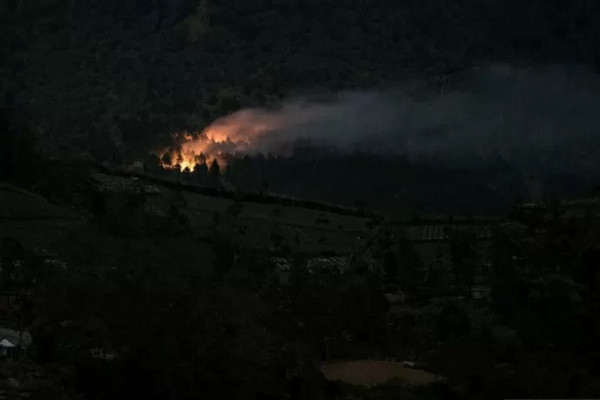 Kobaran api yang membakar hutan pinus di lereng bagian timur Gunung Slamet pada petak 58a, terlihat dari Desa Serang, Karang Reja, Purbalingga, Jateng, Kamis (12/9/2019). (Foto: Antara Foto/Idhad Zakaria)