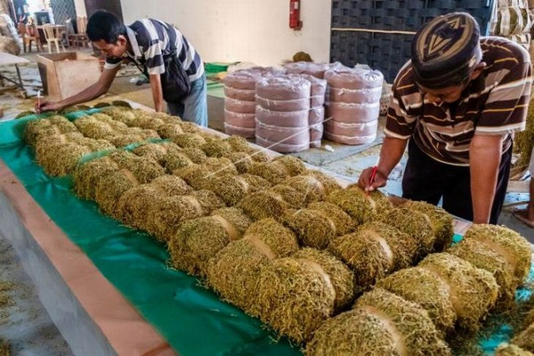 Pekerja menandai kualitas tembakau rajangan di gudang penyimpanan milik industri rokok di Kecamatan Karangawen, Kabupaten Demak, Jateng, Senin (16/9). (Foto: Antara Foto/Aji Styawan)